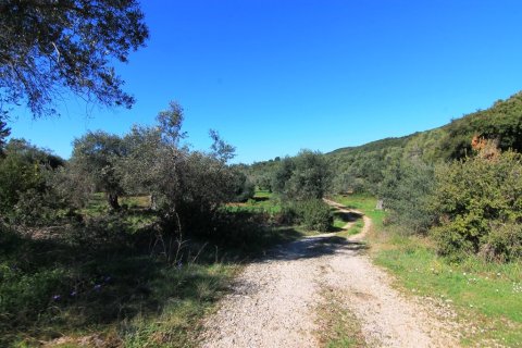 44000m² Land in Corfu, Greece No. 58877 9