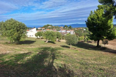 2822m² Land in Chalkidiki, Greece No. 108931 4
