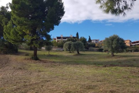 2822m² Land in Chalkidiki, Greece No. 108931 2