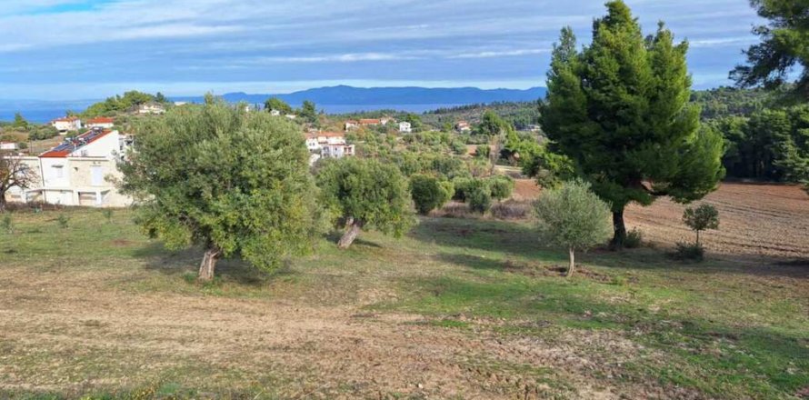 2822m² Land in Chalkidiki, Greece No. 108931