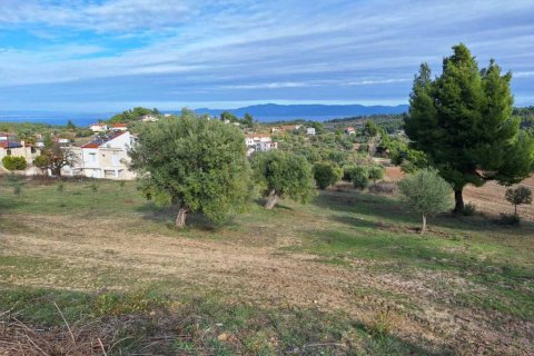 2822m² Land in Chalkidiki, Greece No. 108931 5