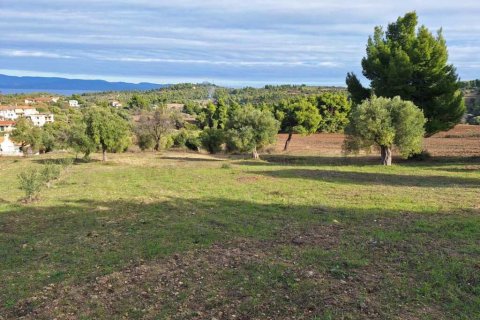 2822m² Land in Chalkidiki, Greece No. 108931 3