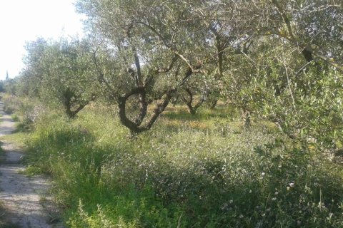 Земельный участок в Закинтос, Греция №24654 10