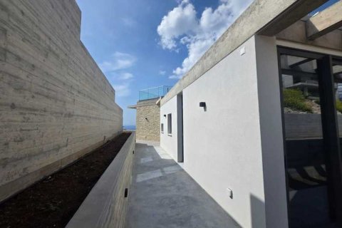 2 chambres Villa à Pegeia, Cyprus No. 84074 14