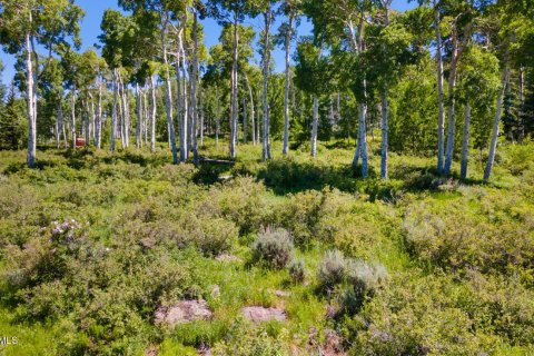 Land in Avon, USA No. 83668 21