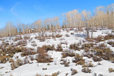 Land in Avon, USA No. 83668 17