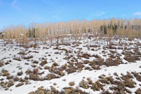 Land in Avon, USA No. 83668 16