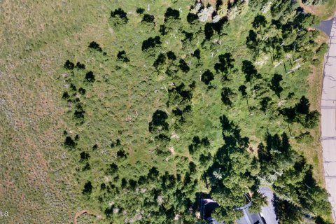 Land in Avon, USA No. 83668 22