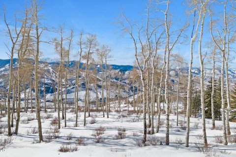 Land in Avon, USA No. 83668 6