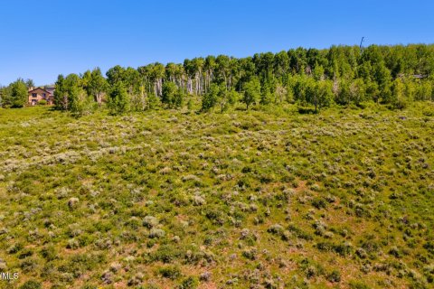 Land in Avon, USA No. 83668 20