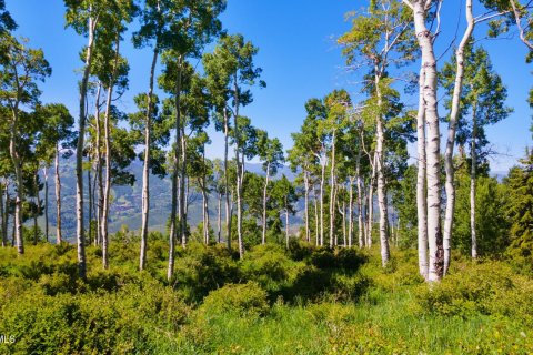 Land in Avon, USA No. 83668 23