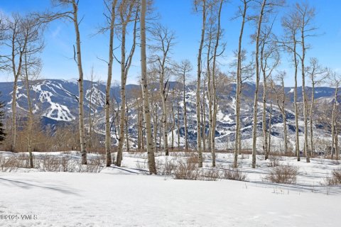 Land in Avon, USA No. 83668 5