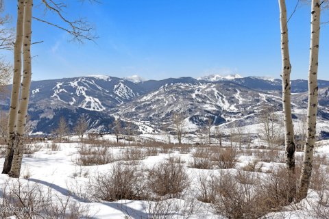 Land in Avon, USA No. 83668 2