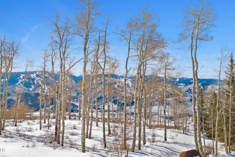 Land in Avon, USA No. 83668 7