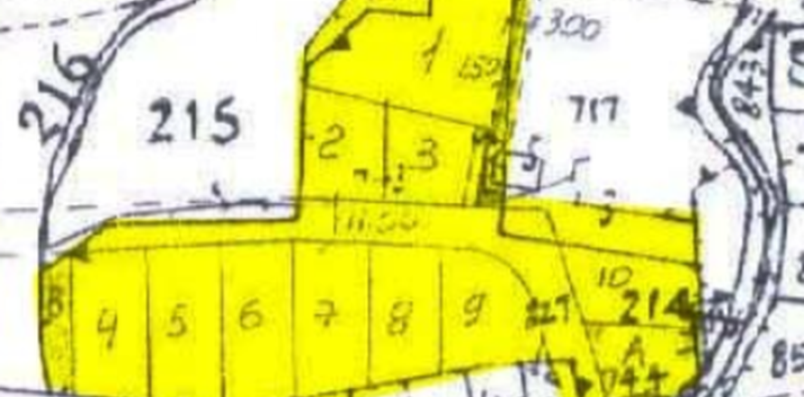 Земельный участок 9996м² в Псевдас, Кипр №84652