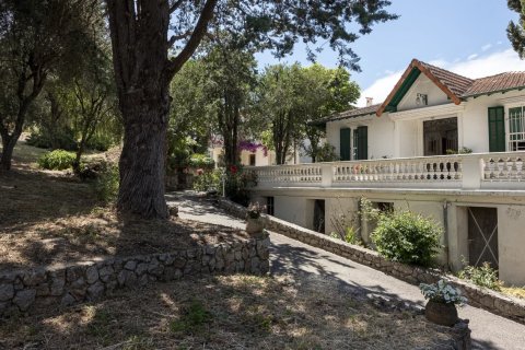 344m² House in Cannes, France No. 68836 1