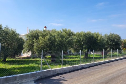 4 dormitorios Villa en Chalkidiki, Greece No. 82558 8