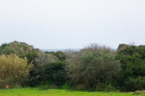 Land in Zakynthos, Greece No. 24785 6