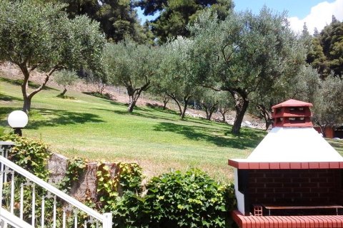 700m² Hotel en Chalkidiki, Greece No. 60271 5