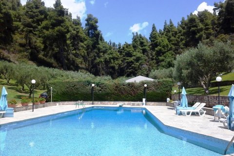 700m² Hotel en Chalkidiki, Greece No. 60271 8