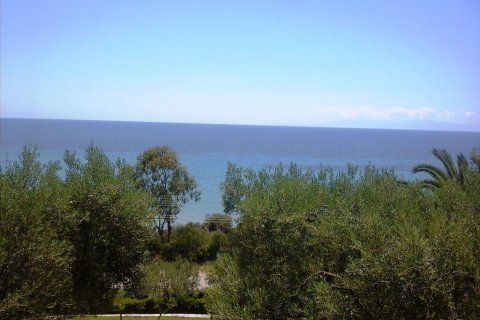 700m² Hotel en Chalkidiki, Greece No. 60271 3