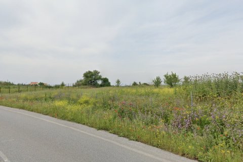 6100m² Land in Thessaloniki, Greece No. 108485 4