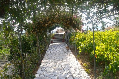 3 bedrooms House in Zakynthos, Greece No. 24747 10