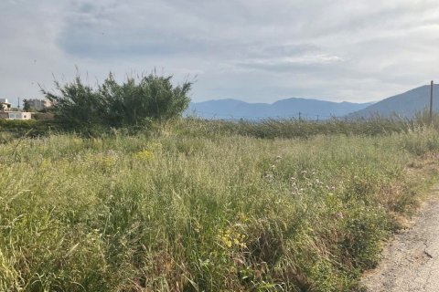 2500m² Land in Gazi, Greece No. 56016 2