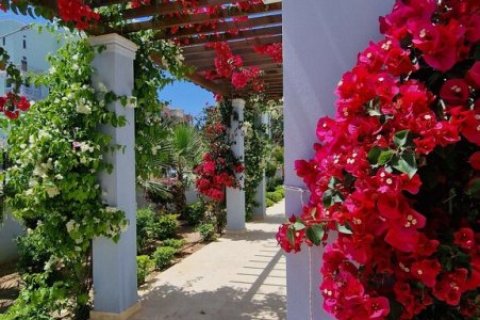 3 chambres Appartement à Limassol, Cyprus No. 105414 15