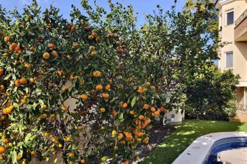 Вилла с 5 спальнями в Nam Xay, Вьетнам №83867 12