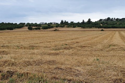 Земельный участок 9900м² в Халкидики, Греция №56545 1