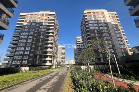 2 bedrooms Apartment in Phu An, Vietnam No. 88531