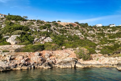 10000m² Land in Chania, Greece No. 82949 3