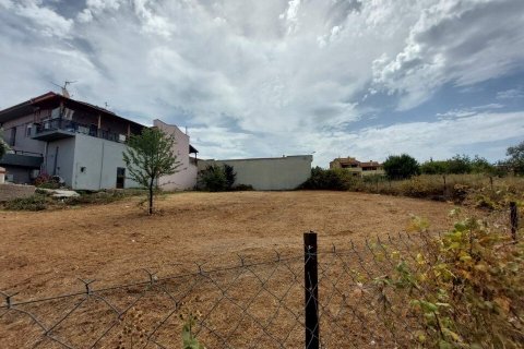 802m² Land in Chalkidiki, Greece No. 54474 2
