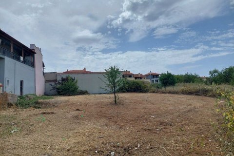 802m² Land in Chalkidiki, Greece No. 54474 3