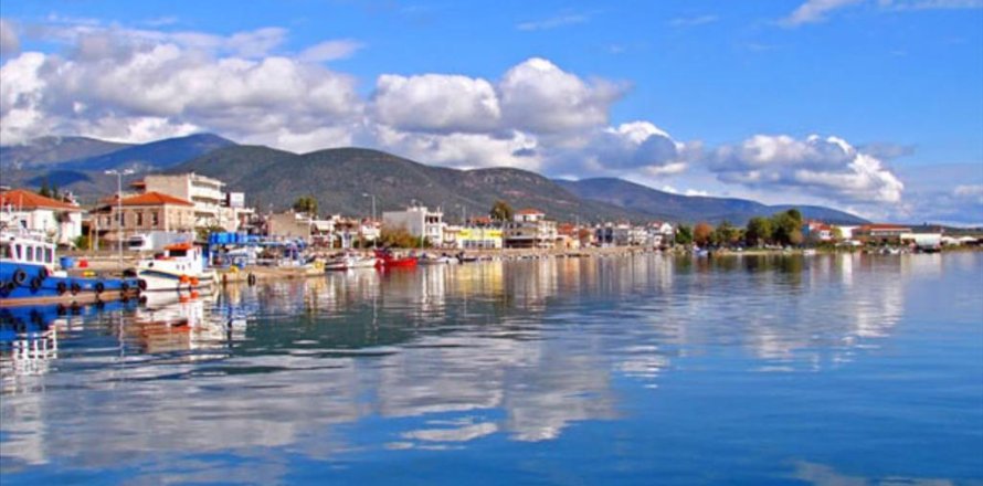 4329m² Land in Phthiotis, Greece No. 58556