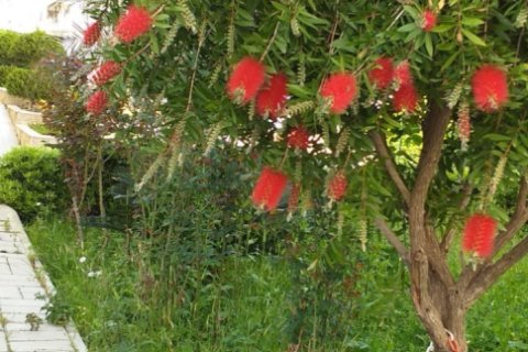 2 bedrooms Apartment in Tri Phuong, Vietnam No. 12308 5