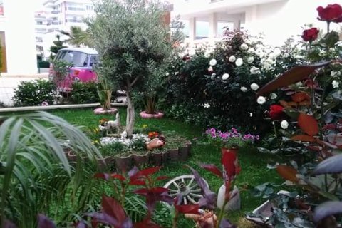 2 bedrooms Apartment in Tri Phuong, Vietnam No. 12308 16