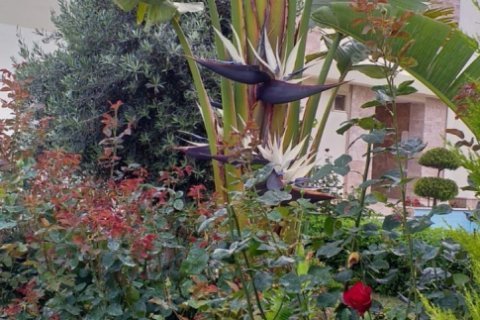 2 bedrooms Apartment in Tri Phuong, Vietnam No. 12308 4