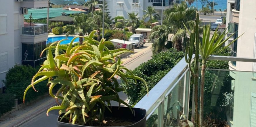 2 bedrooms Apartment in Tri Phuong, Vietnam No. 12308