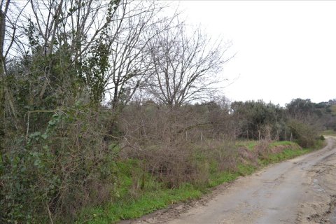 8200m² Land à Chalkidiki, Greece No. 59908 4