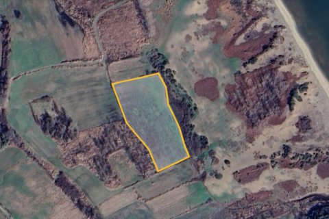 10000m² Land in Chalkidiki, Greece No. 108979 7