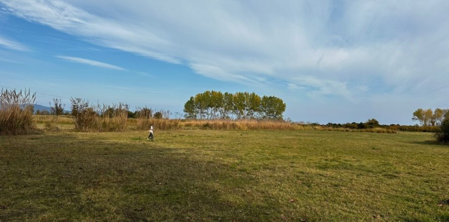 10000m² Land in Chalkidiki, Greece No. 108979