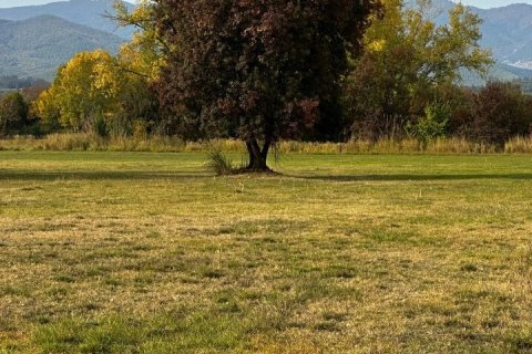 10000m² Land in Chalkidiki, Greece No. 108979 5