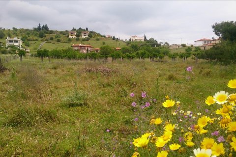 2040m² Land à Chalkidiki, Greece No. 60386 3