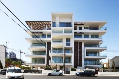 Квартира с 3 спальнями в Лимассол, Кипр №32240 15