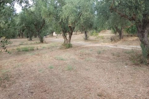 2 bedrooms Apartment in Zakynthos, Greece No. 24580 6