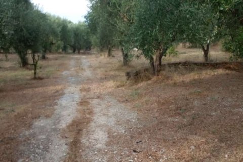 2 bedrooms Apartment in Zakynthos, Greece No. 24580 4