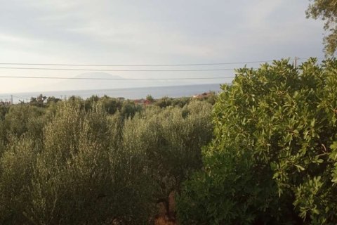 2 bedrooms Apartment in Zakynthos, Greece No. 24580 8