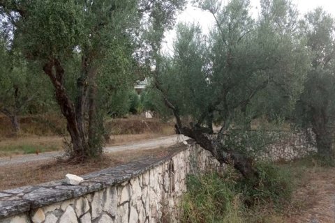 2 bedrooms Apartment in Zakynthos, Greece No. 24580 18